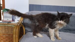 WhatsApp Image 2026-02-09 at 22.33.24