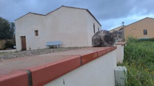 WhatsApp Image 2026-02-09 at 22.42.05