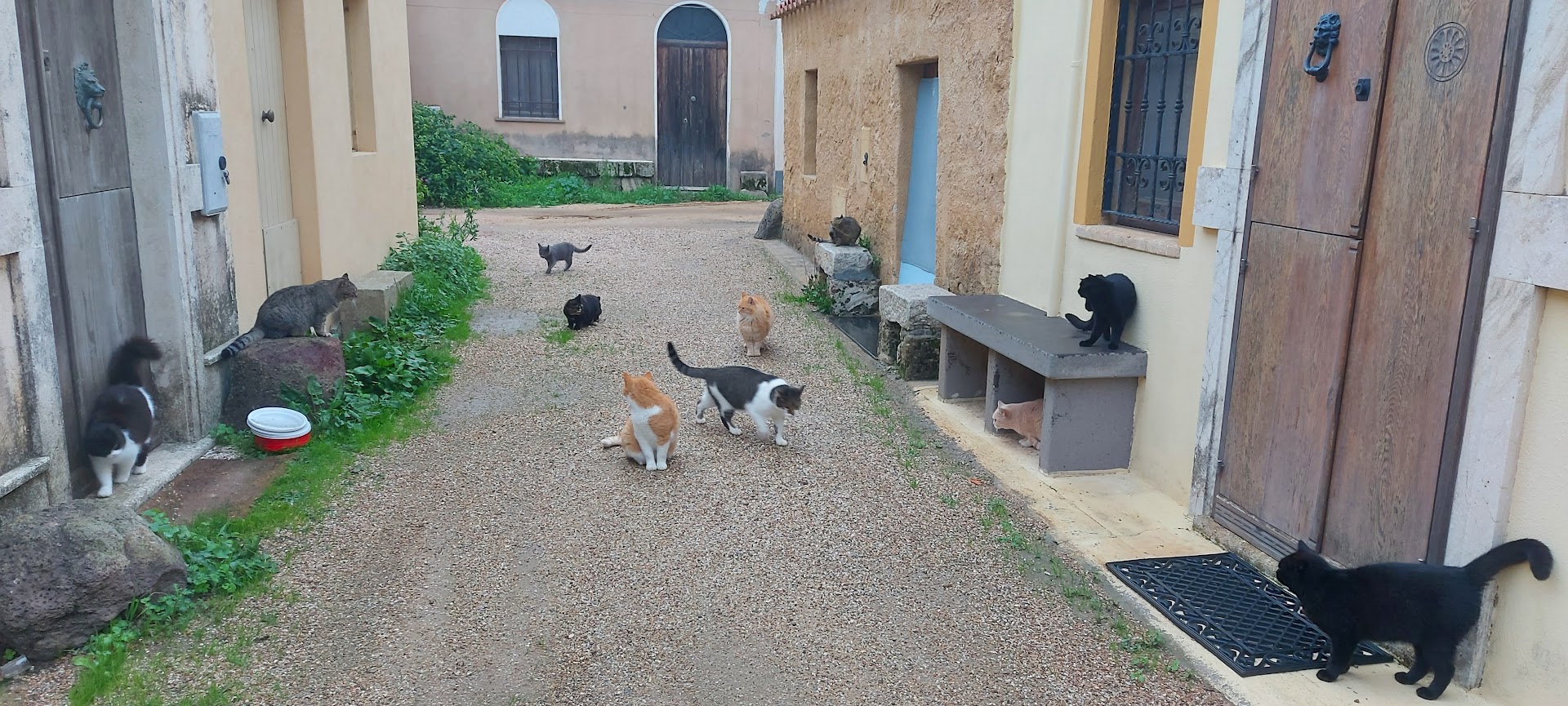 I Gatti Scalzi nel villaggio di San Salvatore